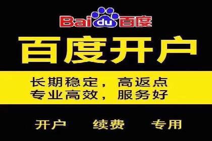 案例分析：百度推广排名提升的秘诀